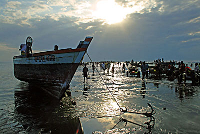 Fish landing beach, Tanga, Tanzania. Courtesy Lucy Scott.