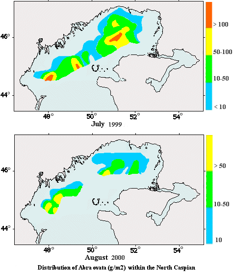 Distribution within the North Caspian