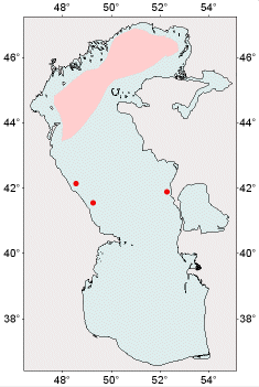 Distribution of Species