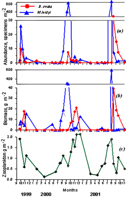 2mnem_annex11_fig2.jpg (87525 bytes)