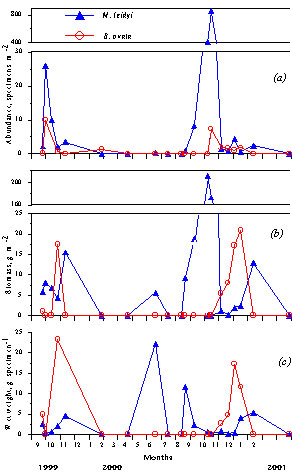 mnem_attach6_fig6.jpg (42095 bytes)