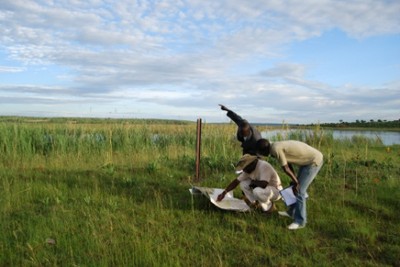 TDA fieldwork