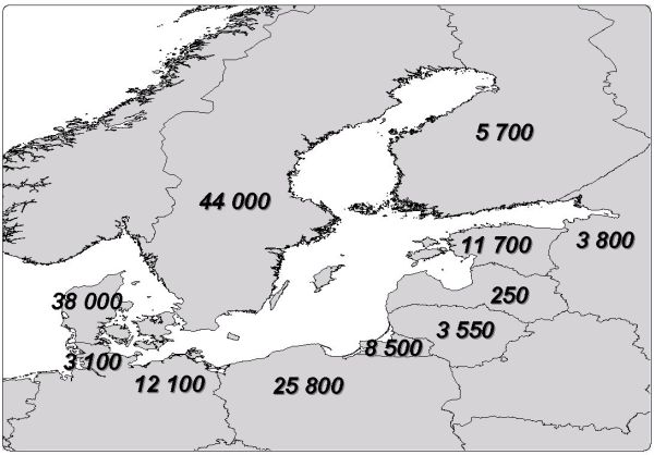 Figure 1.jpg