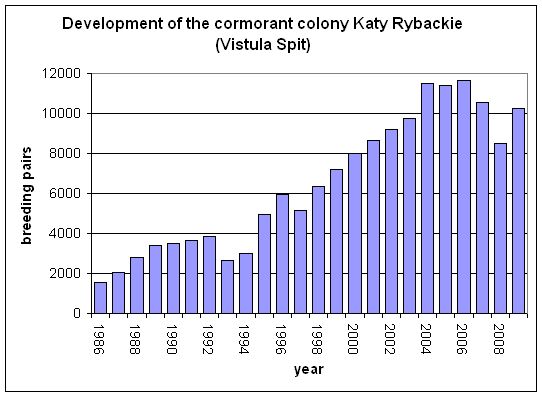 Figure 5.jpg