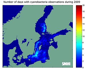 cyanobacterial blooms.jpg