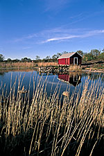 summercottage.jpg