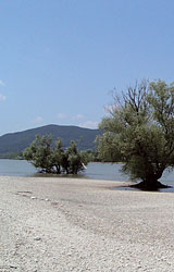 Credit: Duna-Ipoly National Park