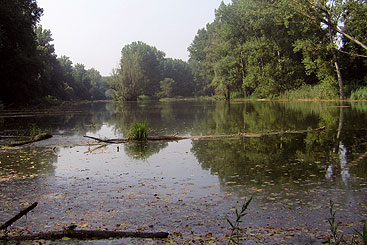 Credit: Nature Reserve Gornje Podunavlje.