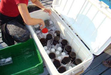 Preparing_samples_for_transport_to_JDS2_Labs.jpg