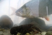 aug20 07 041 2.jpg