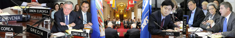 OAS Department of International Affairs