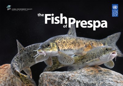 Fish of Prespa