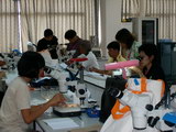 Country Reports on Larval Fish Sampling 2008