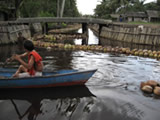 Wetland Management