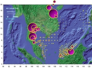 Larval fish distribution and abundance in SCS