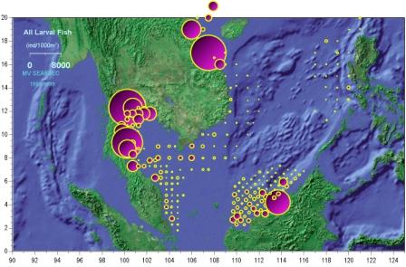 Larval fish distribution and abundance