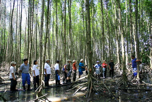 South China Sea Project Mangrove Training Workshop - Group Photo