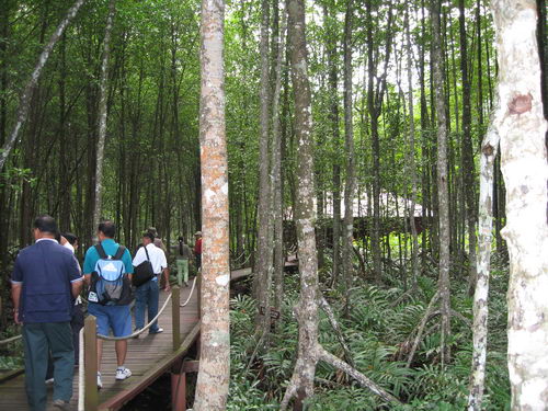 South China Sea Project Mangrove Training Workshop