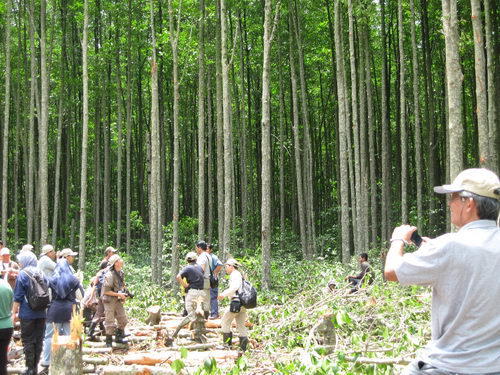 South China Sea Project Mangrove Training Workshop