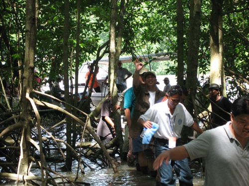 South China Sea Project Mangrove Training Workshop