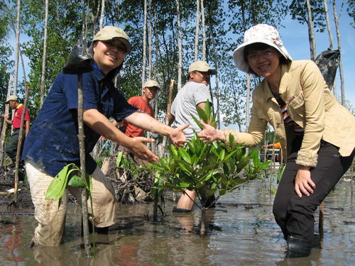 South China Sea Project Mangrove Training Workshop