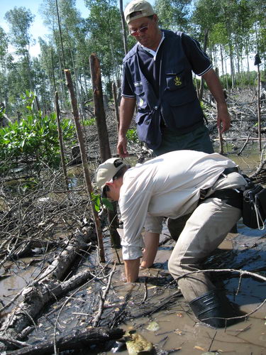 South China Sea Project Mangrove Training Workshop