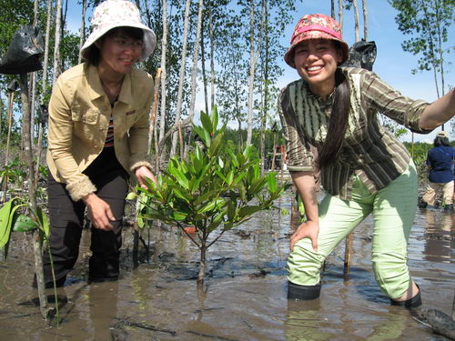 South China Sea Project Mangrove Training Workshop