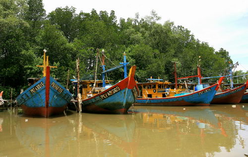 South China Sea Project Mangrove Training Workshop