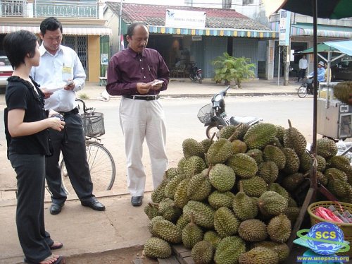 Members of the Regional Working Group on Mangroves in Koh Kong Cambodia